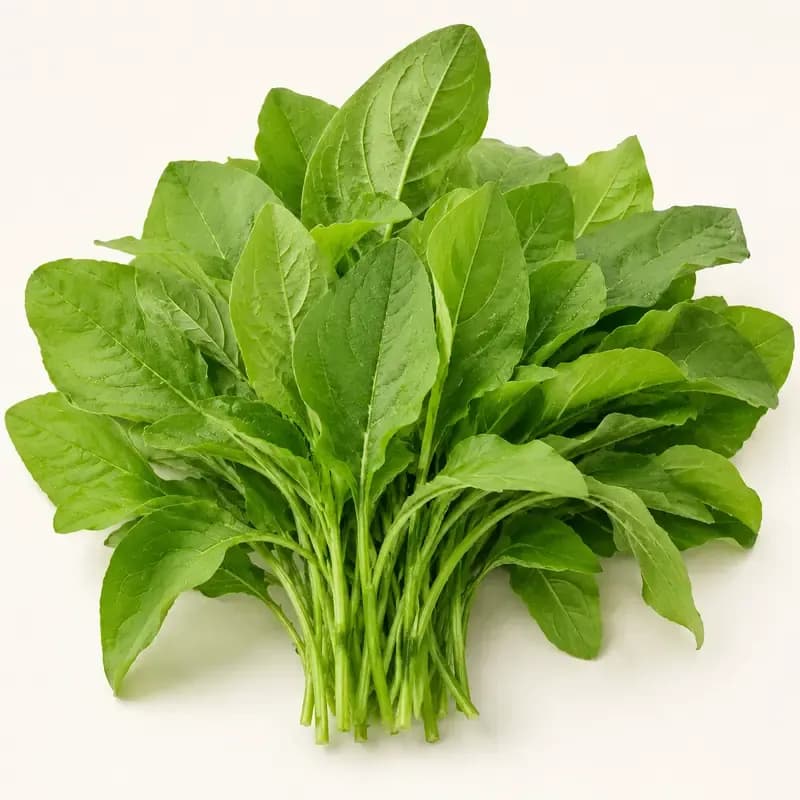 Amaranth Leaves