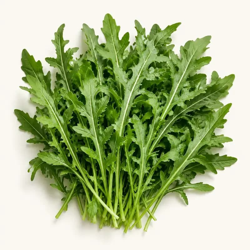 Arugula