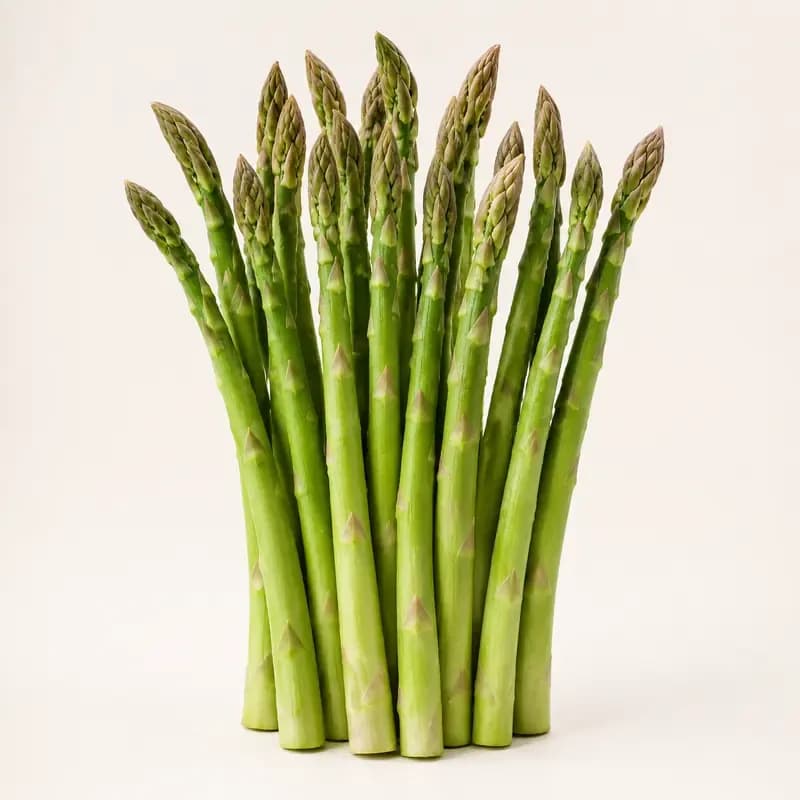 Asparagus