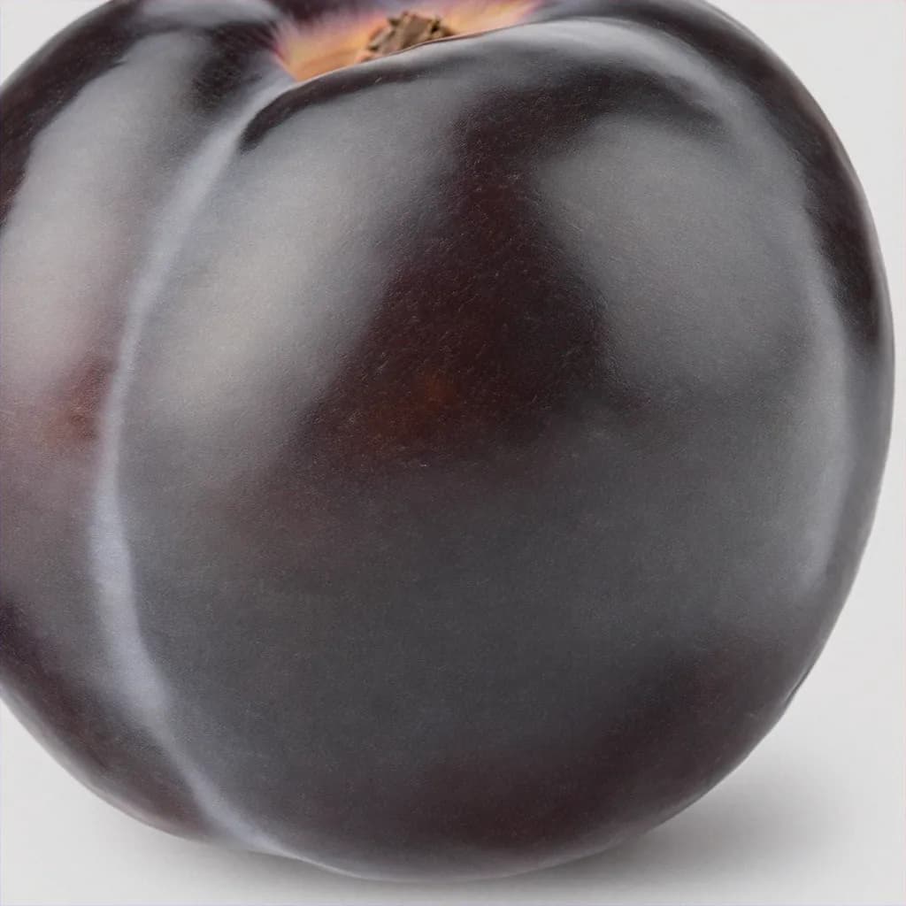 Black Apricot - fresh fruit image for easy identification