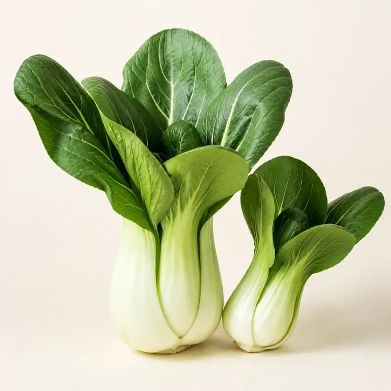Bok Choy