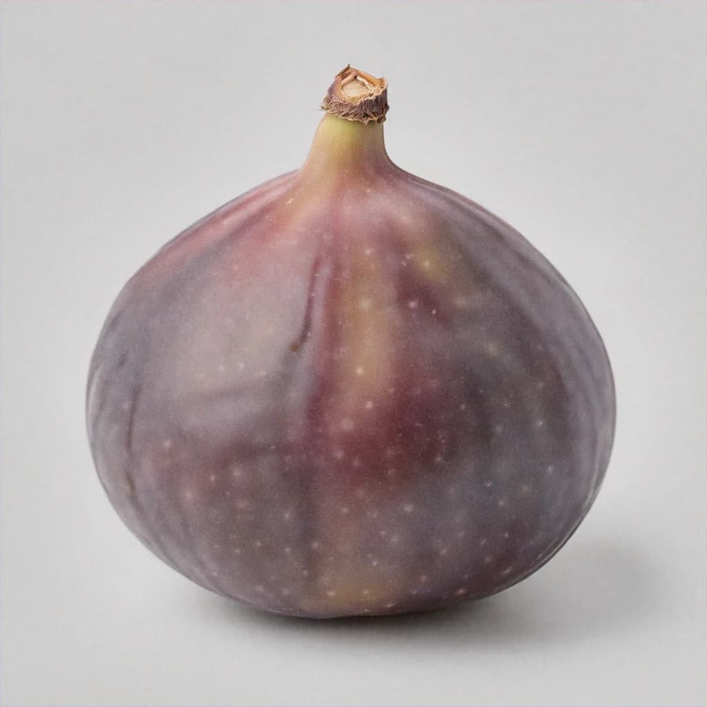 Bush Fig