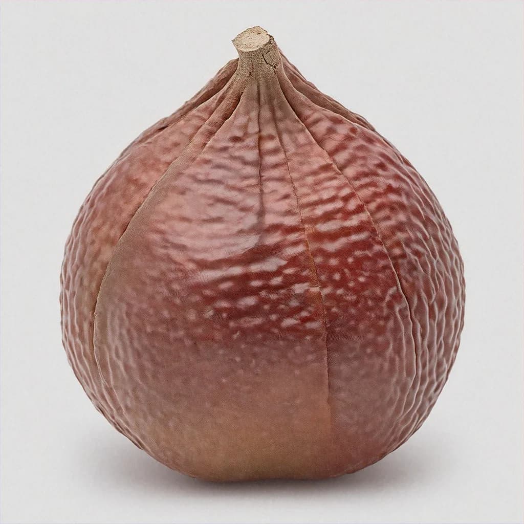 Corky-Bark Fruit