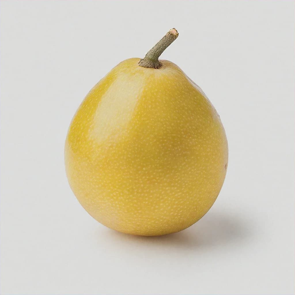 Eugenia Malaccensis