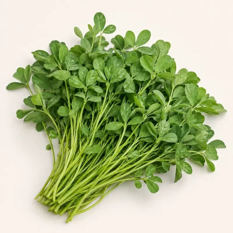 Fenugreek Leaves