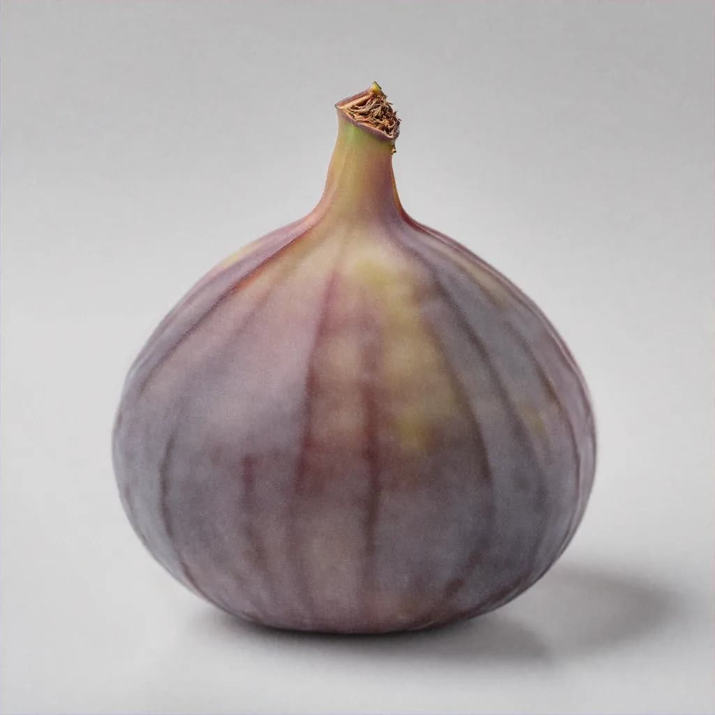 Figs - fresh fruit image for easy identification