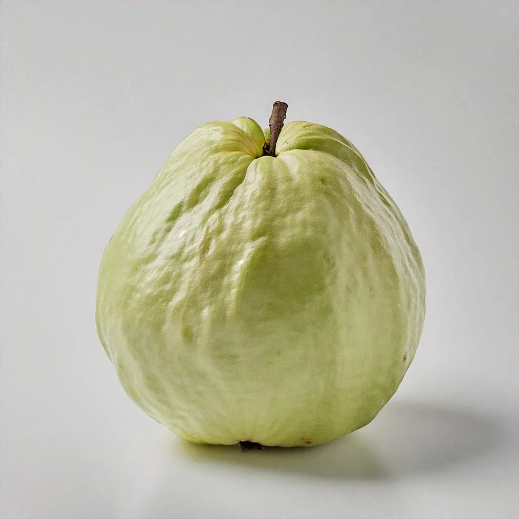 Guava - fresh fruit image for easy identification