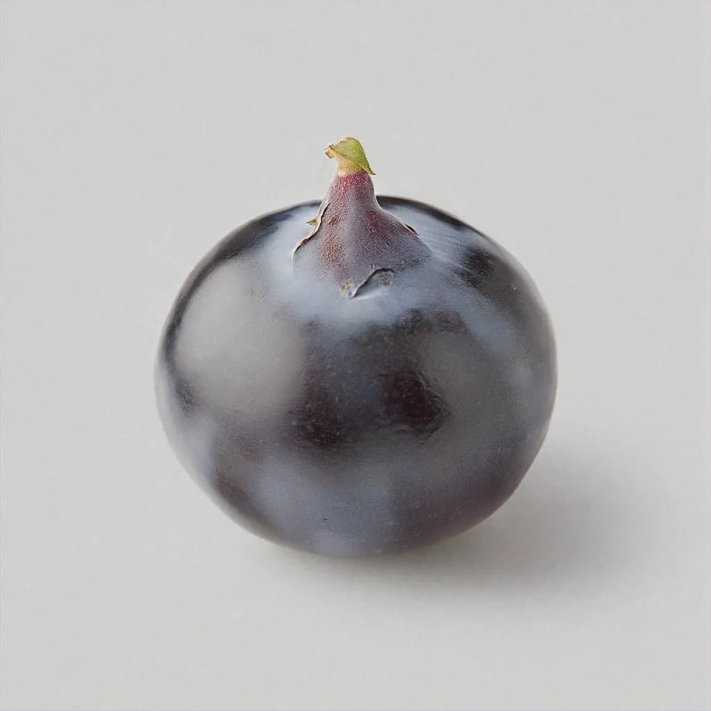 Honeyberry - fresh fruit image for easy identification