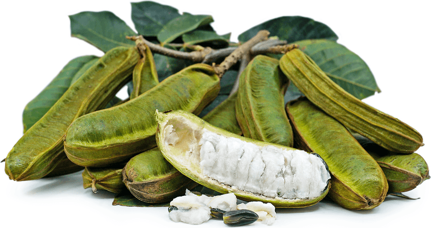 Ice Cream Bean primary