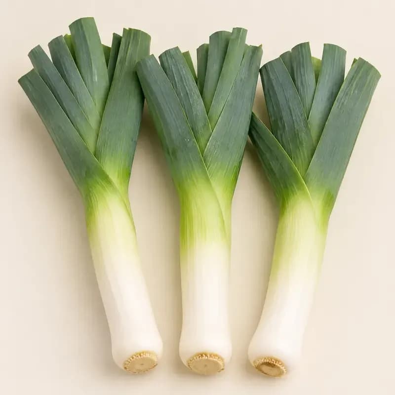 Leek