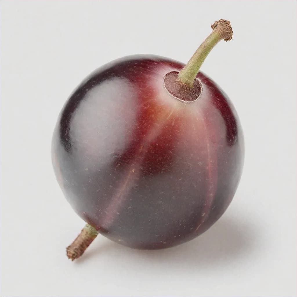 Muscadine - fresh fruit image for easy identification