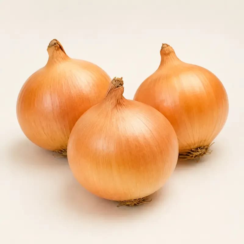 Onion