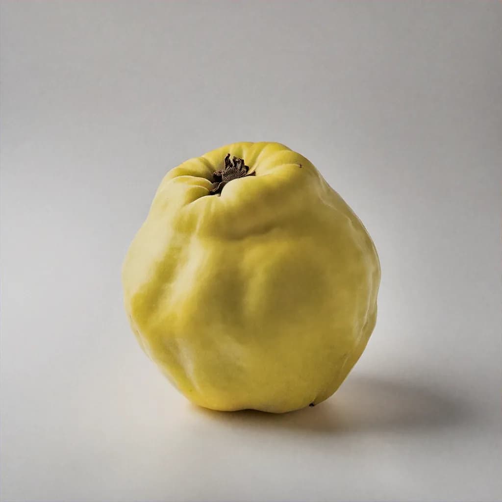 Quince - fresh fruit image for easy identification