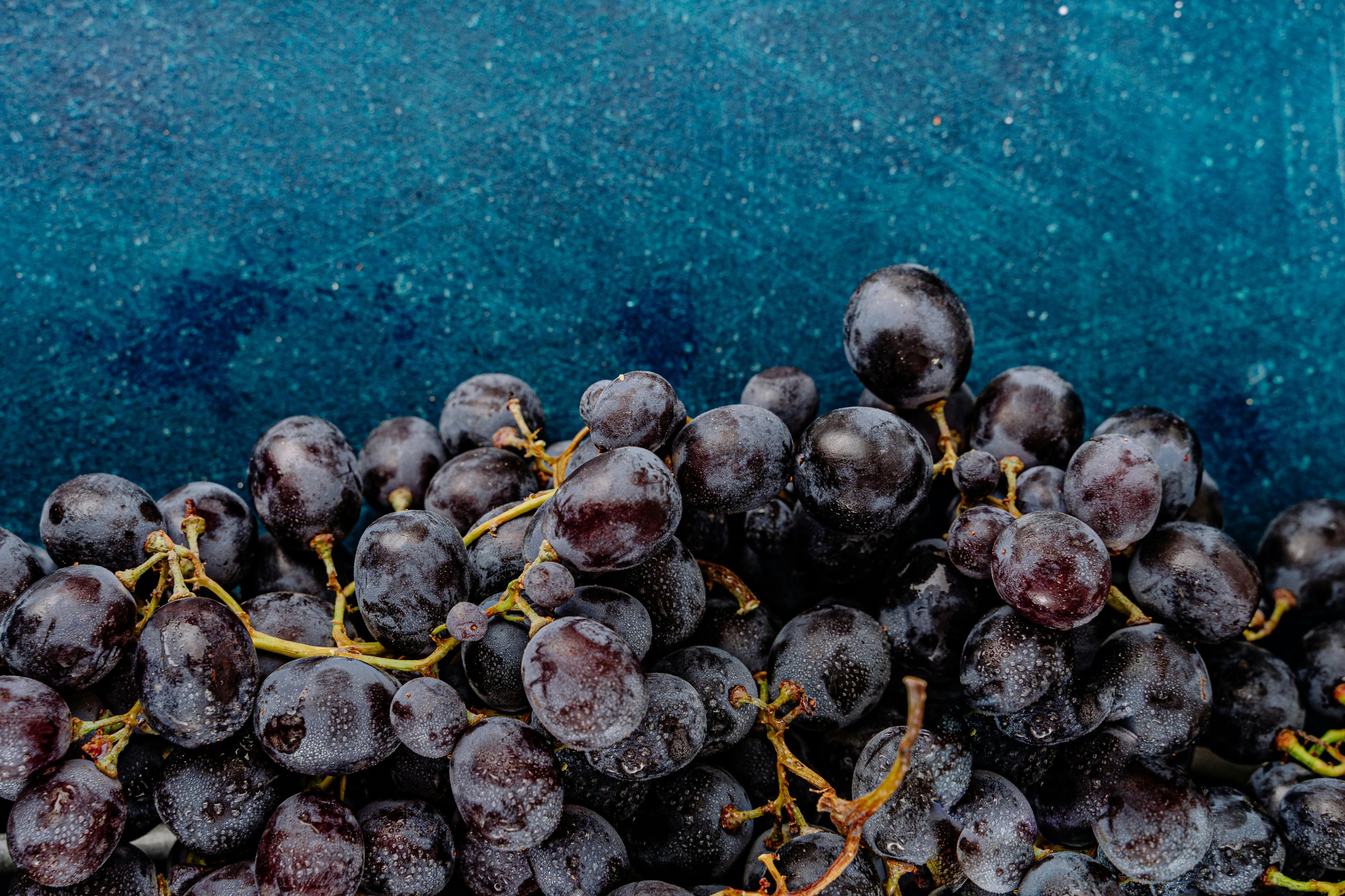 Black Grapes primary