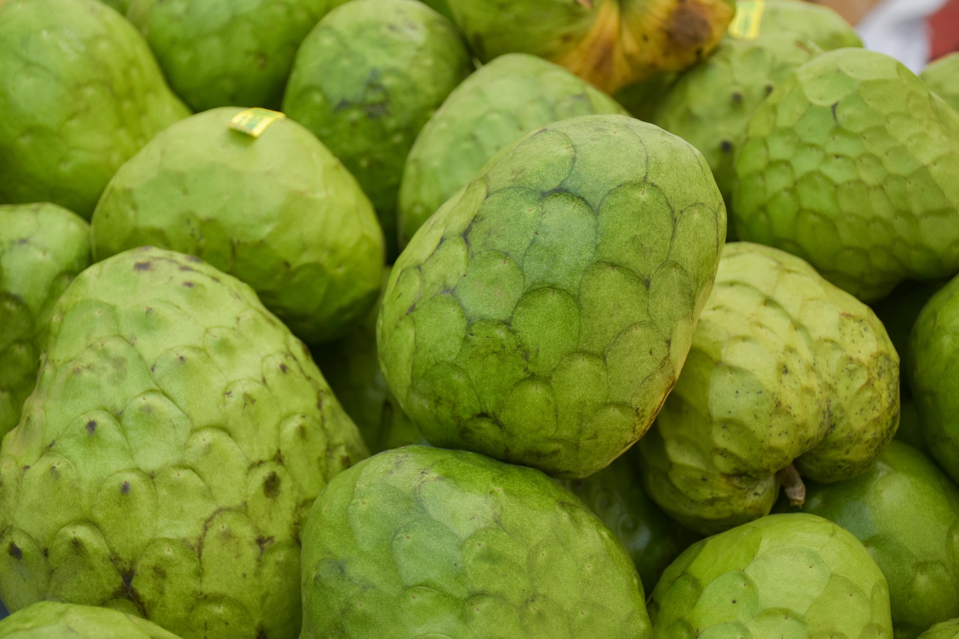 Cherimoya - fresh fruit image for easy identification