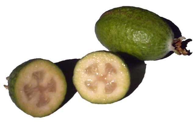 Feijoa - fresh fruit image for easy identification