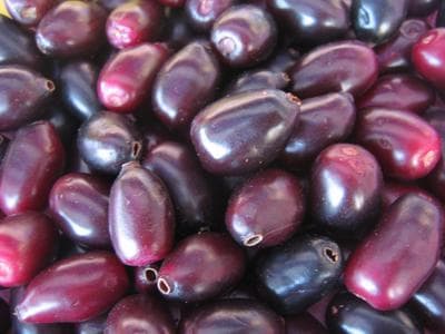 Jamun - fresh fruit image for easy identification