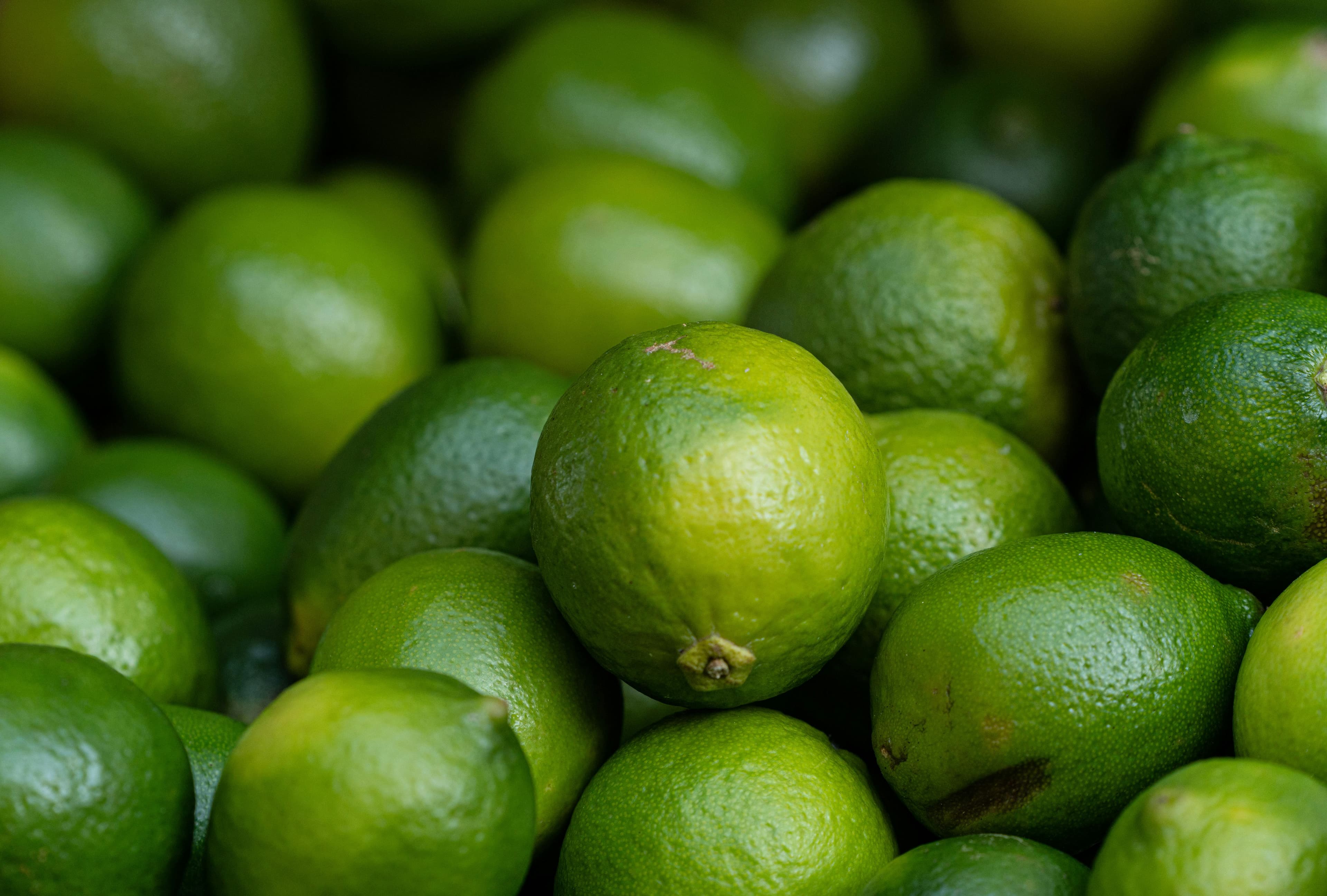 Lime - fresh fruit image for easy identification