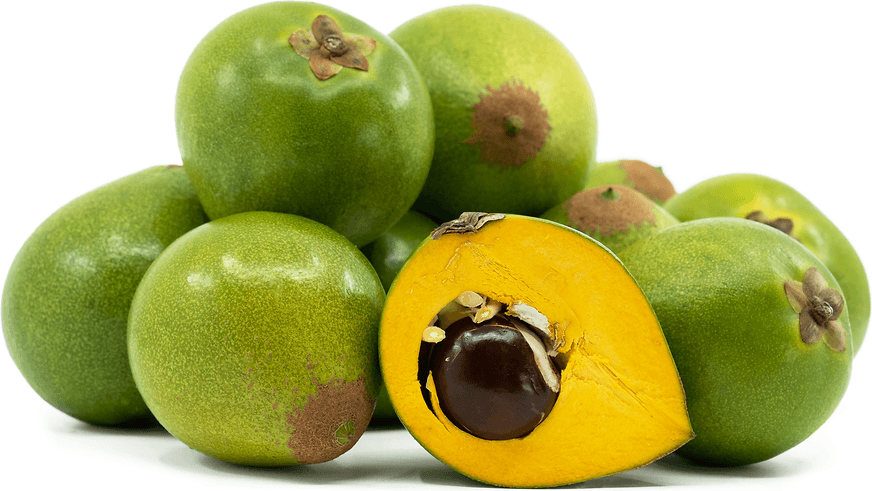 Lucuma - fresh fruit image for easy identification