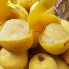 Marula - fresh fruit image for easy identification