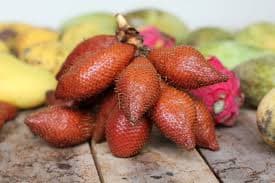 Snake Fruit primary