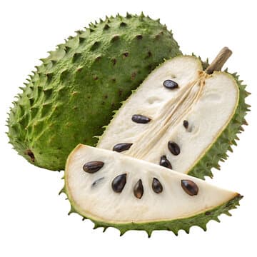 Soursop - fresh fruit image for easy identification