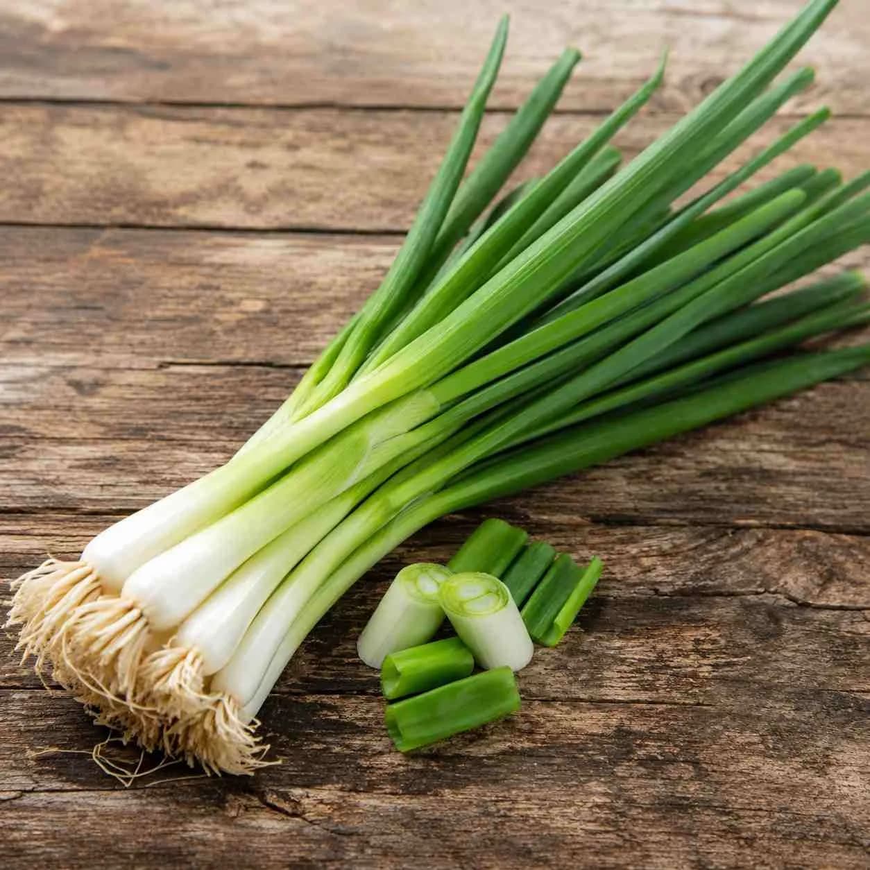 Spring Onion