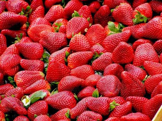 Strawberry - fresh fruit image for easy identification