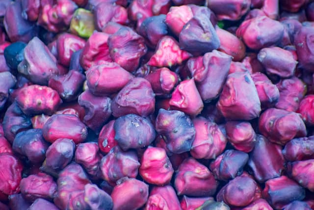 Water Chestnut primary