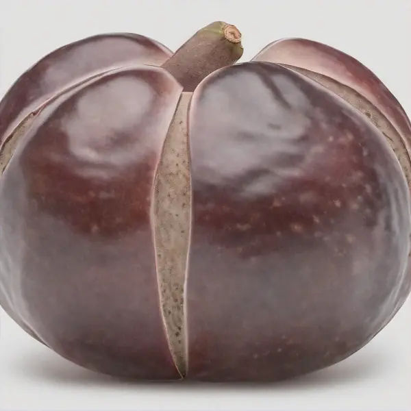 Akebia Fruit: Nutrition, Health Benefits, and Uses