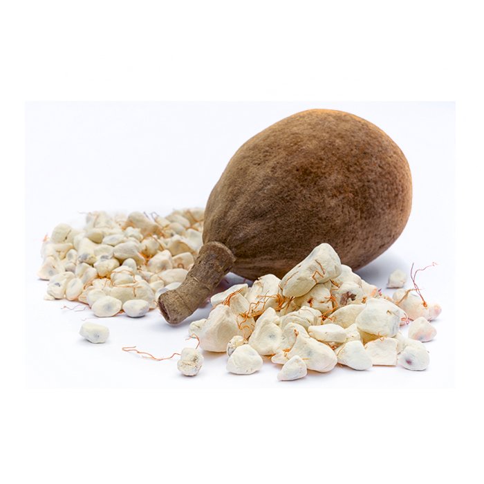 Baobab primary image