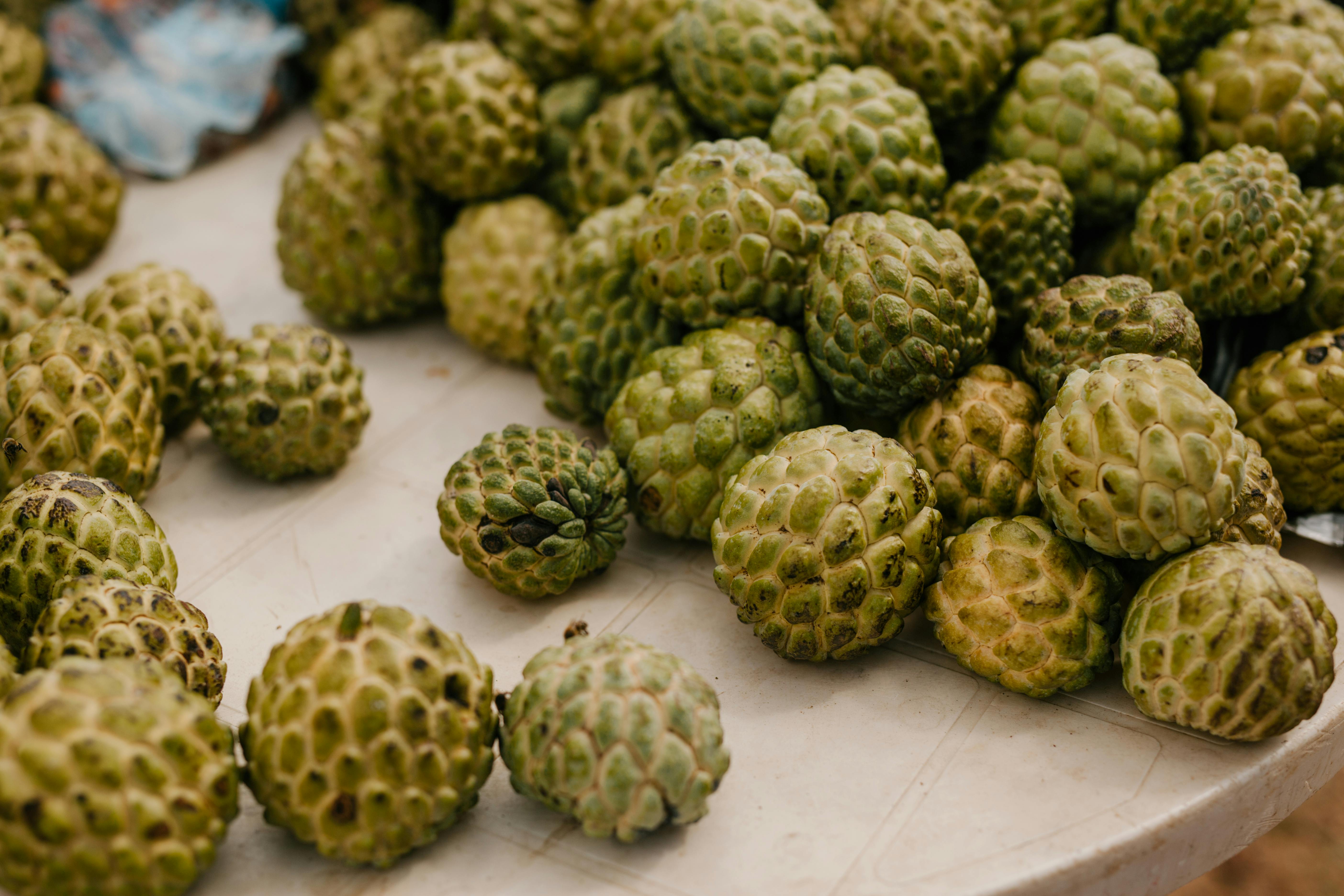 Custard Apple primary image