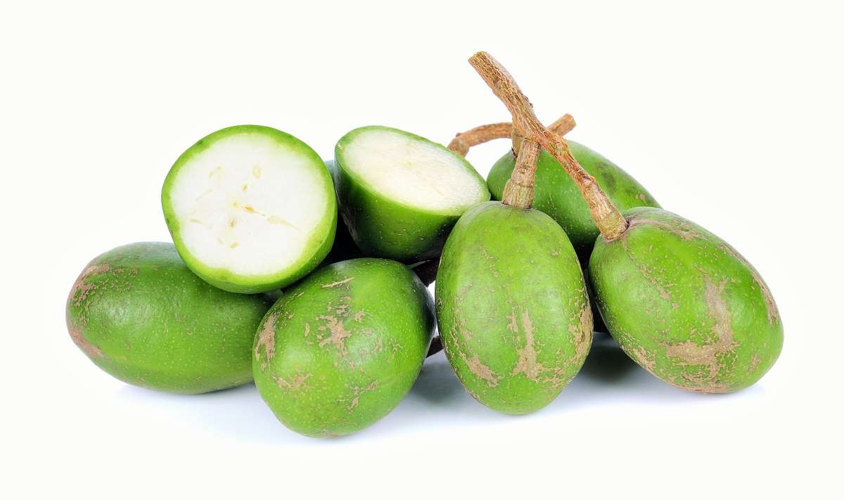 Hog Plum primary image