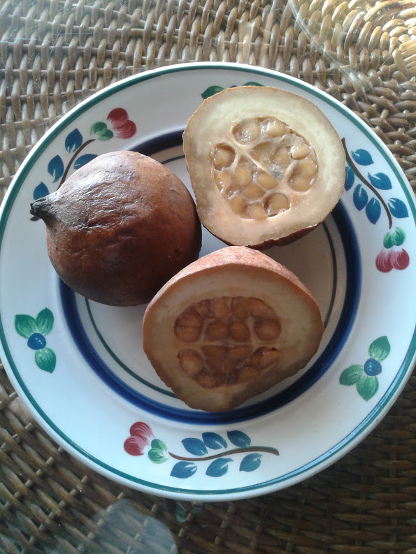 Jenipapo primary image