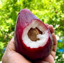 Otaheite Apple primary image