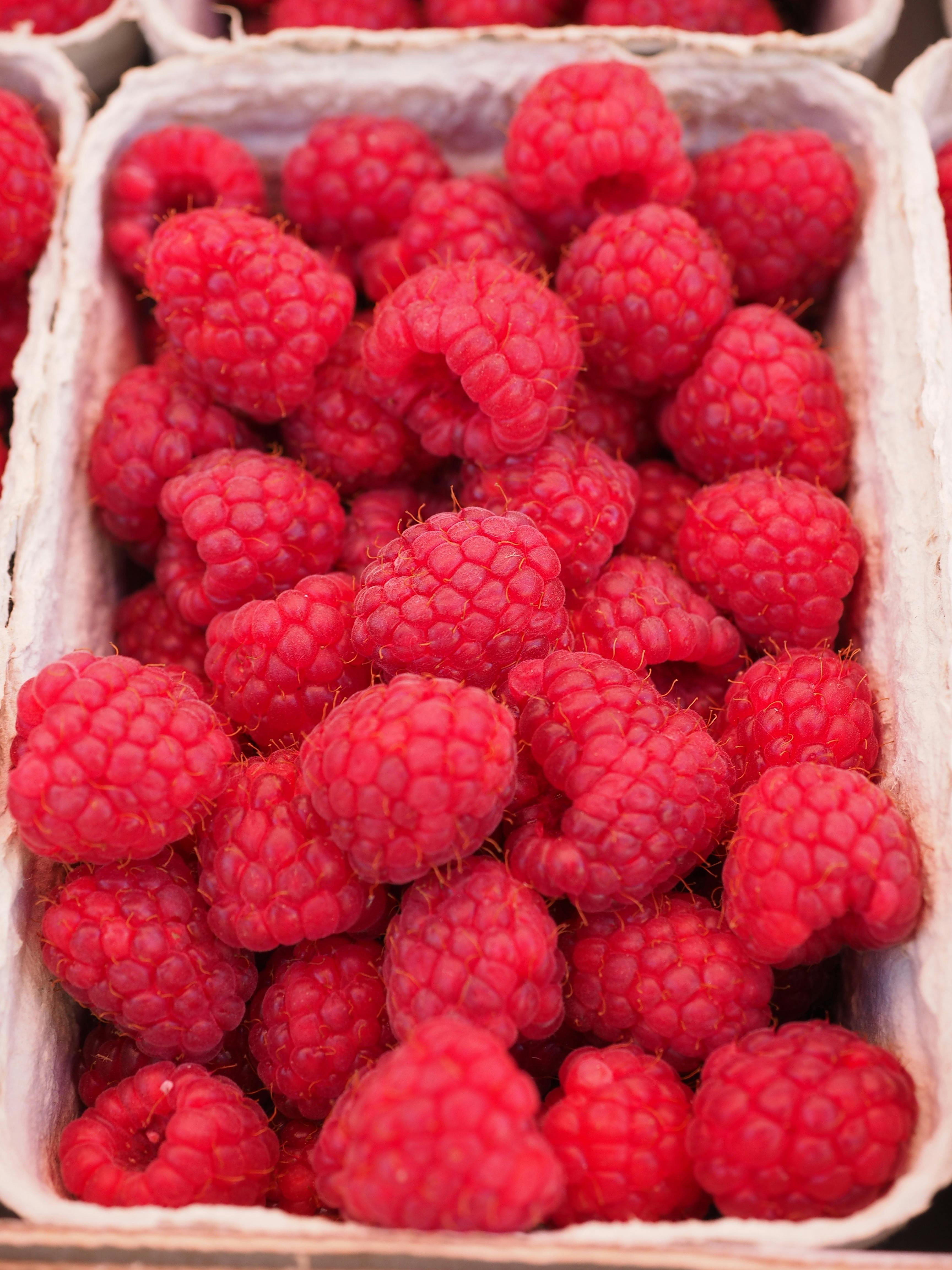 Raspberry primary image