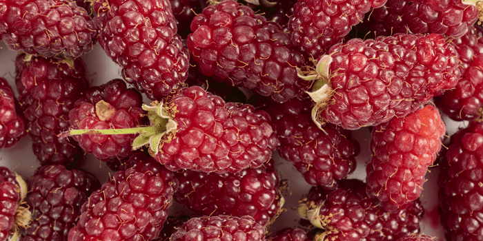 Tayberry primary image