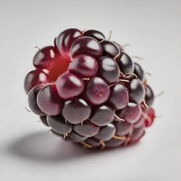 Typea Berry Tayberry Nutrition Facts - Scottish Hybrid Berry, Vitamin C ...