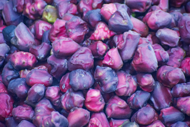 Water Chestnut primary image