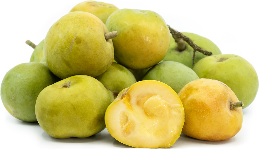 White Sapote primary image