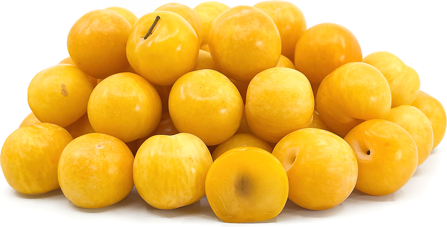 Yellow Plum primary image